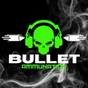Bullet Ammunation
