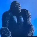 🦍🌿 𝗧𝗵𝗲 𝗚𝗼𝗿𝗶𝗹𝗹𝗮𝘀 🌿🦍
