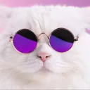 모Dɪᴏ's