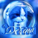 Mimchi Design
