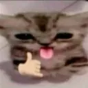 Server icon