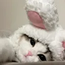 /Kittey
