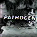 PATHOGEN
