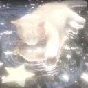 ִ ࣪ ˖ ࣪ 𝖲𝗍𝖾𝗅𝗅𝖺𝗋 𝗌𝗈𝖼𝗂𝖾𝗍𝗒 ! ᰔ ִ ׄ Discord server icon