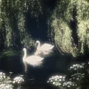 🌿:꒰˚.⋆𖧧ʜᴏʟʟᴏᴡᴍᴀʀᴇ🌿:꒱˚.⋆𖧧