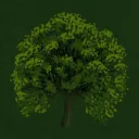 [KOTR] The Shire 🌿