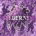 Wilderness 荒 野