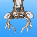 Campo Largo VN