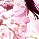 ◟♯ . / blossom . !