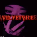 VELVETVICE