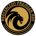 Discovery icon for ¿2000? APH | Premier Haxball T3 Discord server