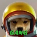 SkittleGANG
