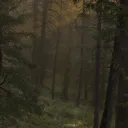 ☾✷⛦The Luminous Veil✷⛦☽