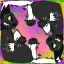 TCNG Hangout ᓚᘏᗢ