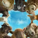 Sheep Detectives Logo Campaign