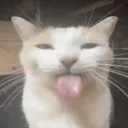 Baflam Hangout Discord server icon