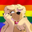 🌈 Puppy’s Row