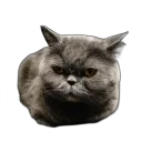 Сервер Кефира