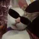 Ricky’s kingdom | Cats • Social • Anime • Fun • Chill • Gaming • Music's icon