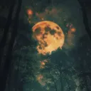🌲 𝟗𝟗 𝐍𝐨𝐢𝐭𝐞𝐬 / 𝐁𝐑 🌙