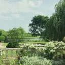𓂃⋆.˚raiko's garden (outdated)