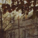 The Six Islands Discord server icon