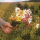 🌻🌊 wildflower community | make friends ౨ৎ