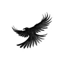 Raven