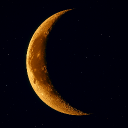 ฅ달빛ฅ(브레인가든 롤백중)