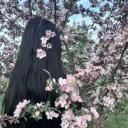 ◠◠　blossoms　₊　 dj2l