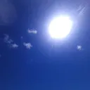 s鯖