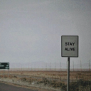 Survivors Discord server icon