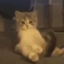 DÖVDÜM YOK ETTİM