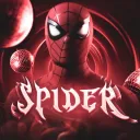 SPIDER STORE