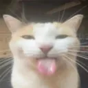 - -