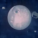 ⋆˖⁺‧₊☽ Moonlit Lovers ☾₊‧⁺˖⋆ 18+ discord icon