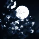୨୧  🩵  Sleeping Hangout ⪩