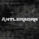 {ANTLERBORN}
