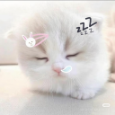 anglz 𓂋 🪽 ₊˚⊹♡  21+ girls only Discord server icon