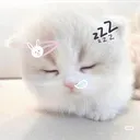 anglz 𓂋 🪽 ₊˚⊹♡  21+ girls only