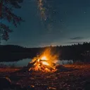 :.  🌺  𝐿❁𝓈𝓉 𝓌𝒾𝓁𝒹𝑒𝓇𝓃𝑒𝓈𝓈  🌲  .: