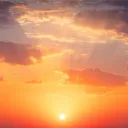 Sunlit Artists ☀ ᨒ ོ ☼