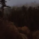 ʳⁱᵛᵉʳᶠᵃˡˡ ᵍʳᵒᵛᵉ // 3