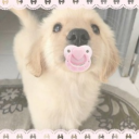 ⋅˚₊‧ ୨୧ ‧₊˚ ⋅♡ Puppy Pawlace ♡⋅˚₊‧ ୨୧ ‧₊˚ ⋅ Discord server icon