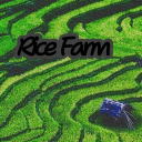 Rice Farm WD