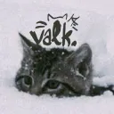 vαℓƙyrie