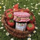 ꒰🍓𝓢𝓽𝓻𝓪𝔀𝓫𝓮𝓻𝓻𝔂 𝓟𝓲𝓬𝓷𝓲𝓬🍓꒱