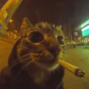 Maow Empire (18+)