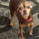 Matthew’s middleman Discord server icon