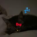 Sleepy Productions Discord Server Icon